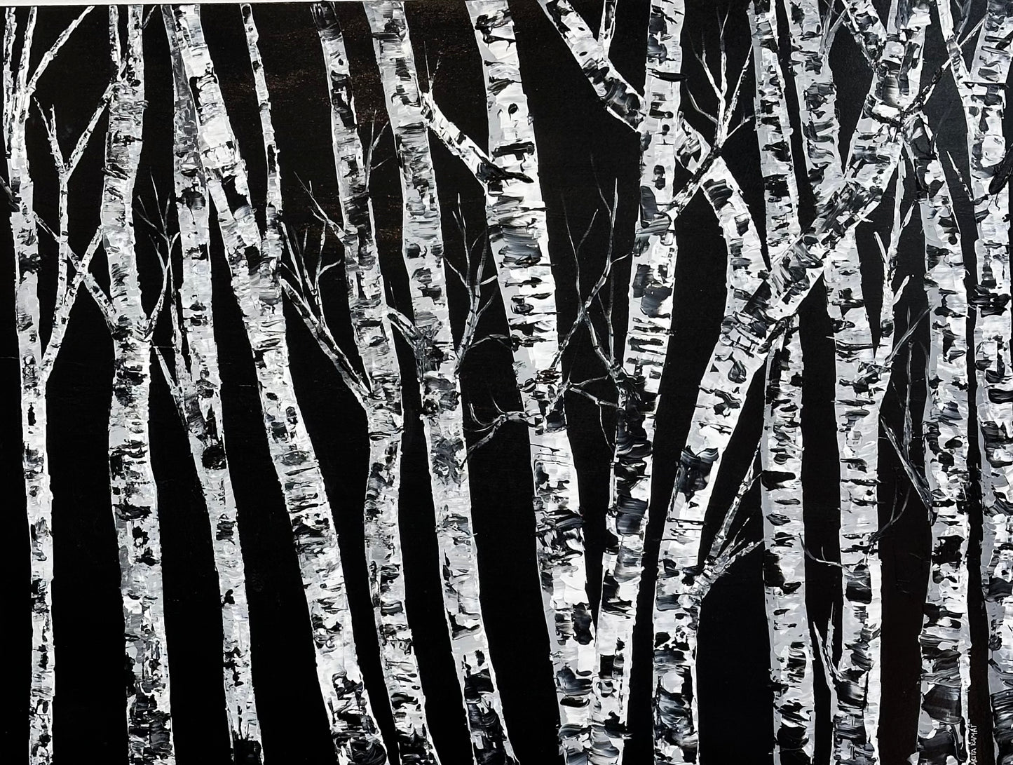 Monochrome Birch Forest