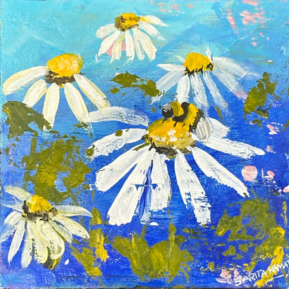 Daisies & Bee